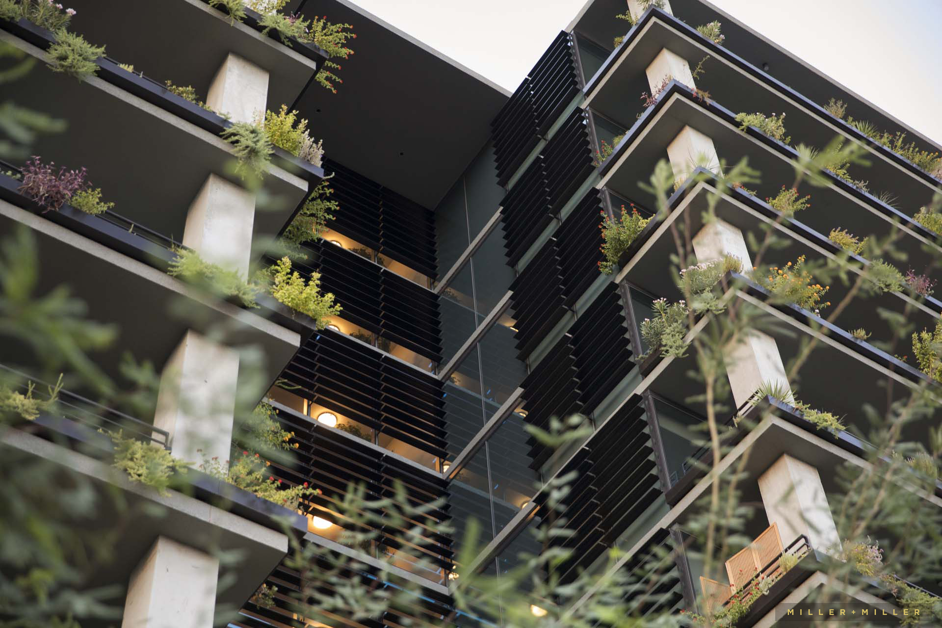 vertical-garden-residential-architecture